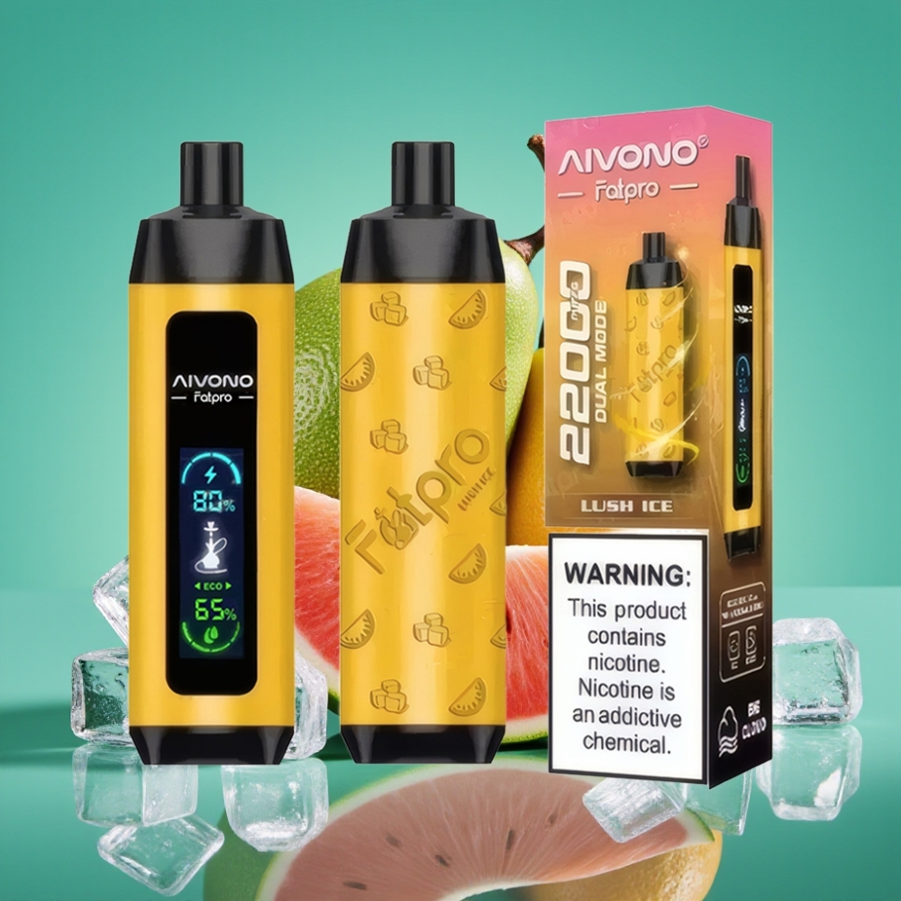 Aivono AIM FATPRO 22000 Puffs Rechargeable - Glace Rafraîchissante - 28ml E-liquide - 0,6 ohm Mesh Coil - Double Mode Eco/Boost