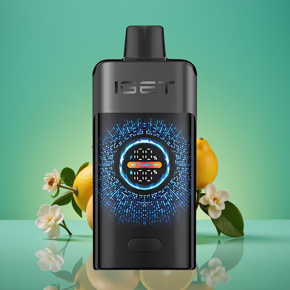 IGET ONE 12000 Puffs Vape Jetable Forêt Noire - 2700 mAh, Écran Courbe Couleur, Double Mesh 0.6 ohm