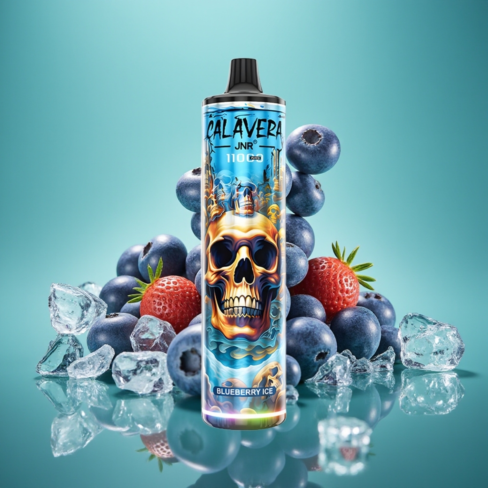 JNR Calavera 11000 Puffs Vape Jetable Blueberry Glacé avec Port Type-C, Batterie 850 mAh et E-Liquide 21ml