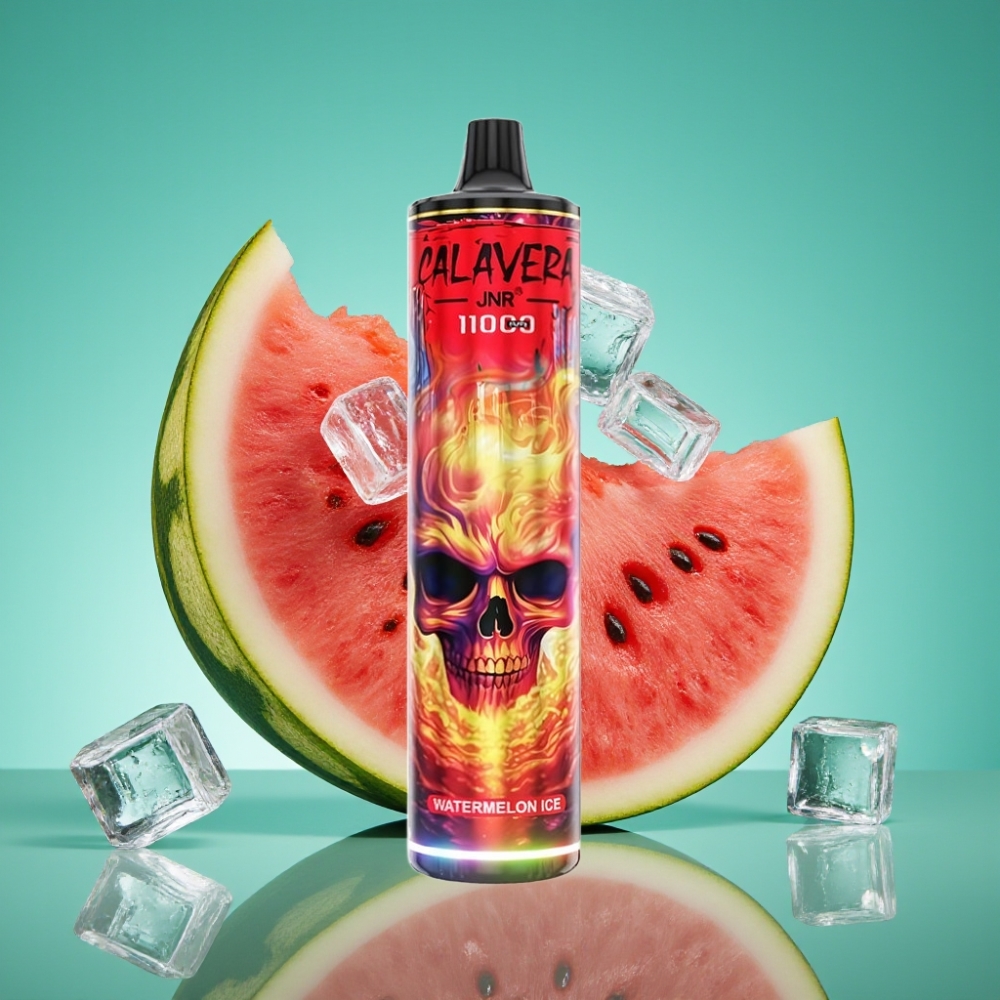 JNR Calavera 11000 Puffs Vape Jetable Pastèque Glacée avec Port Type-C, Batterie 850 mAh et E-Liquide 21ml