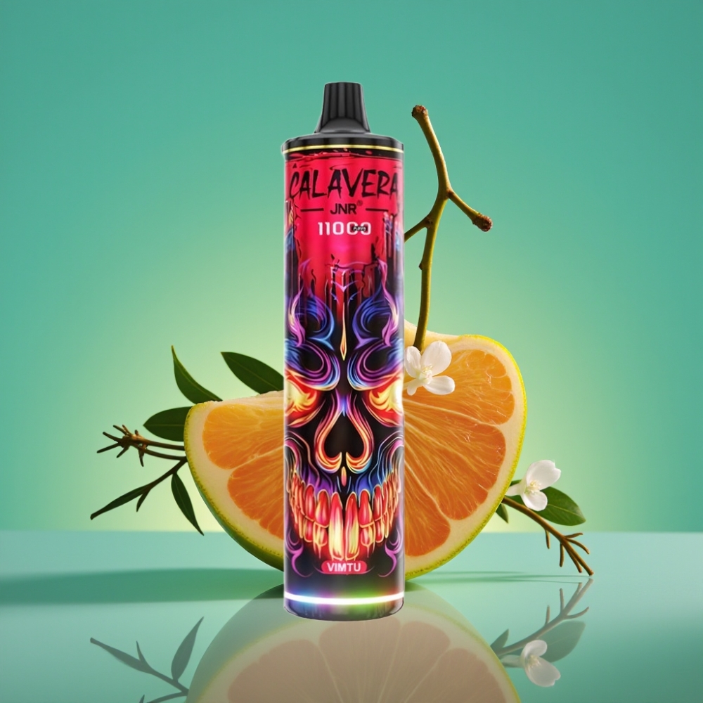JNR Calavera 11000 Puffs Vape Jetable - Port Type-C, 850mAh, 21ml, 1.0ohm Mesh Coil, 0%/2%/5% Nicotine