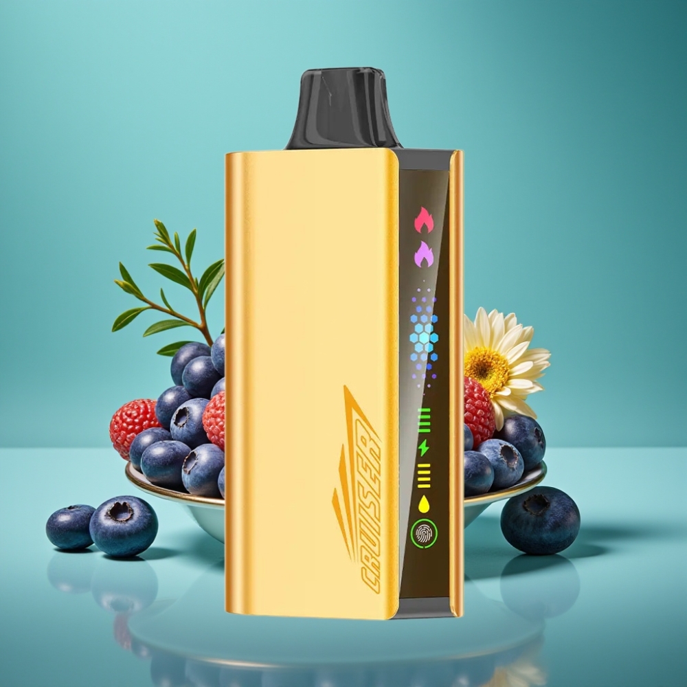 JNR Cruiser 12000 Puffs No-Charge Vape Jetable Explosion de Myrtille – Batterie 3500 mAh, Ecran Animé, Dual Mesh 1.2ohm, Corps Aluminium
