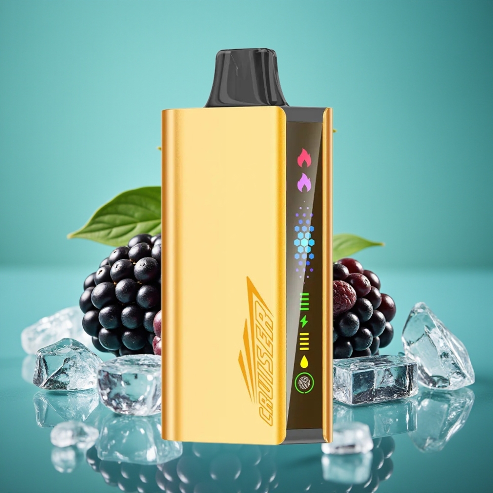 JNR Cruiser 12000 Puffs No-Charge Vape Jetable Mûre Glacée avec Batterie 3500 mAh, Ecran Animé et Corps en Aluminium