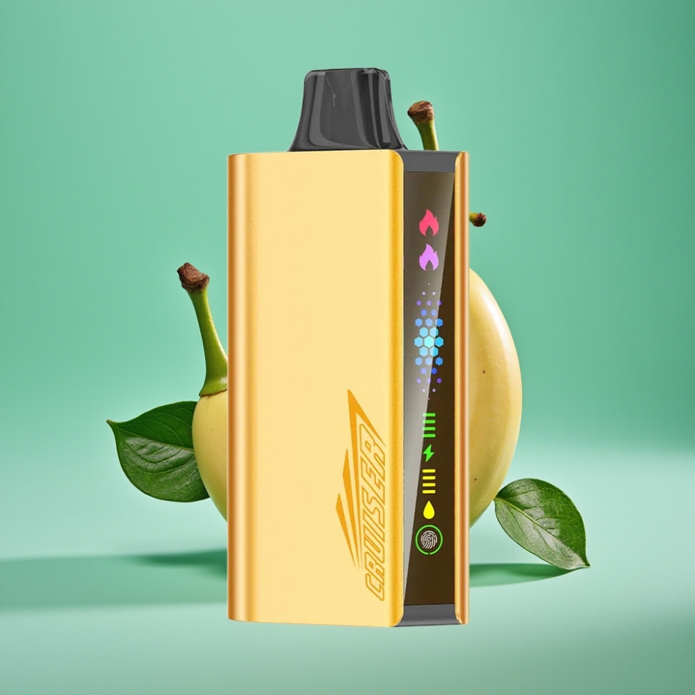 JNR Cruiser 12000 Puffs Sans Recharge Vape Jetable Menthe Fraîche avec Écran Animé, Batterie 3500 mAh et Coil Double Mesh 1.2ohm