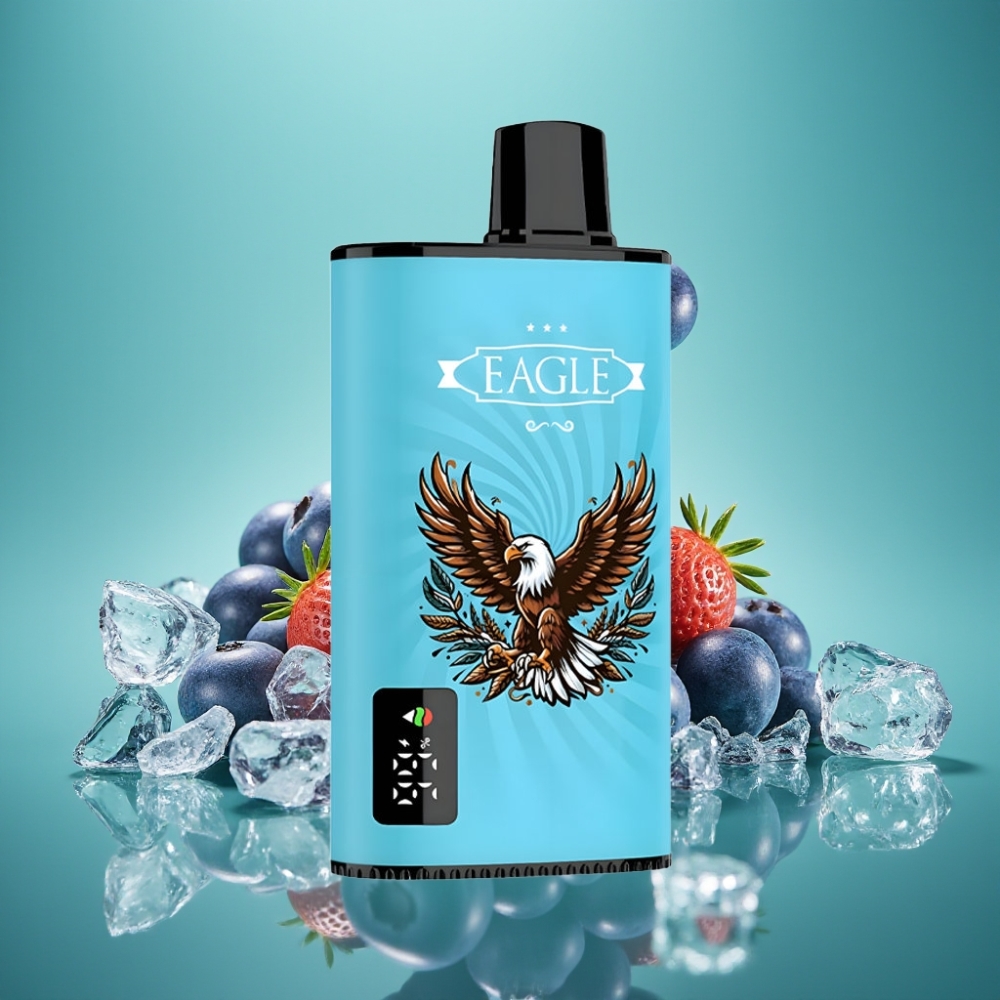 JNR EAGLE Smart 23000 Puffs Vape Jetable Myrtille Glacé avec Écran Digital, Bobine Mesh 1.0ohm et Flux d'Air Réglable