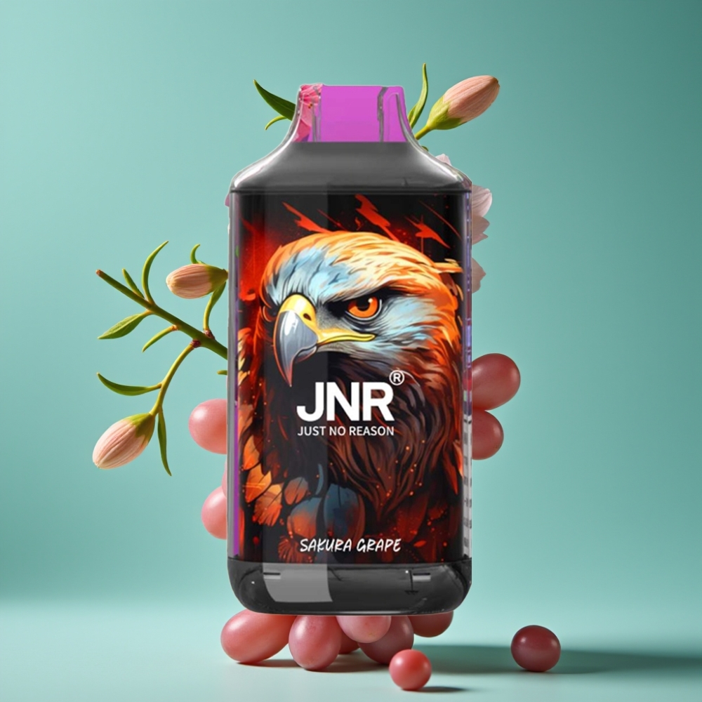 JNR Falcon 16000 Puffs Vape Jetable Cerisier Raisin – 22ml E-liquide, 850 mAh, Dual Mesh Coil, Affichage LED Intelligent, Type C & Lightning, 0%/2% Nicotine