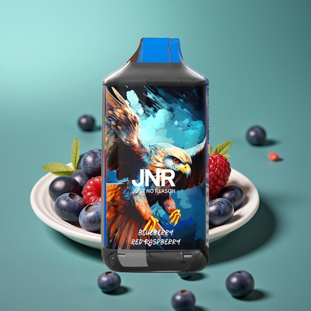 JNR Falcon 16000 Puffs Vape Jetable Myrtille Framboise Rouge – 22ml E-liquide, 850 mAh, Double Mesh Coil, Type C & Lightning, Écran LED Intelligent, 0%,2% Nicotine
