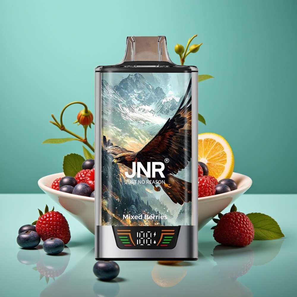 JNR Falcon Pro 28000 Vape Jetable Baies Mixées – 30ml, 28000 Puffs, 5% Nicotine, Écran Intelligent, Double Mesh, USB-C