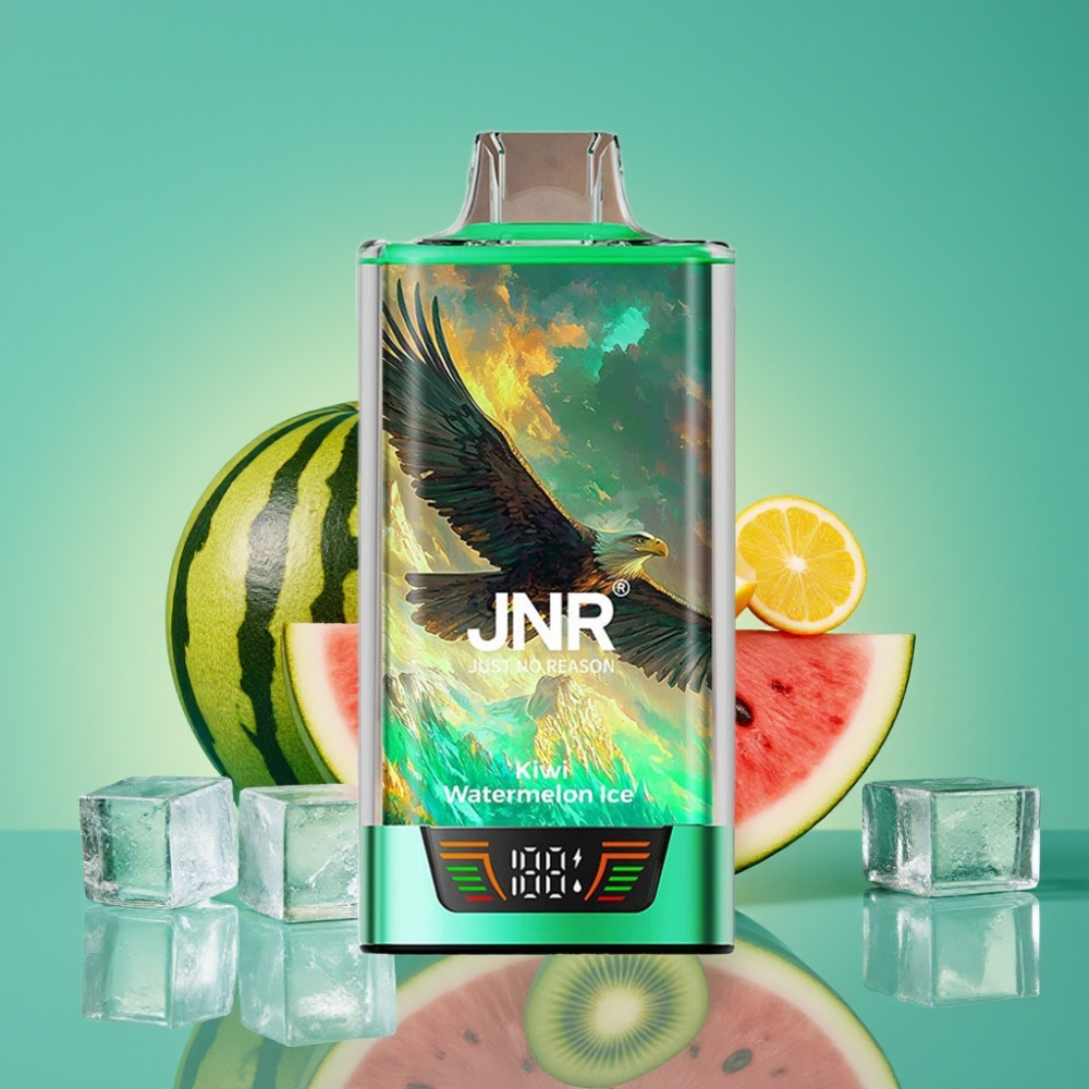 JNR Falcon Pro 28000 Vape Jetable Kiwi Pastèque Glace – 30ml, 28000 Puffs, 5% Nicotine, Dual Mesh Coil, USB Type-C