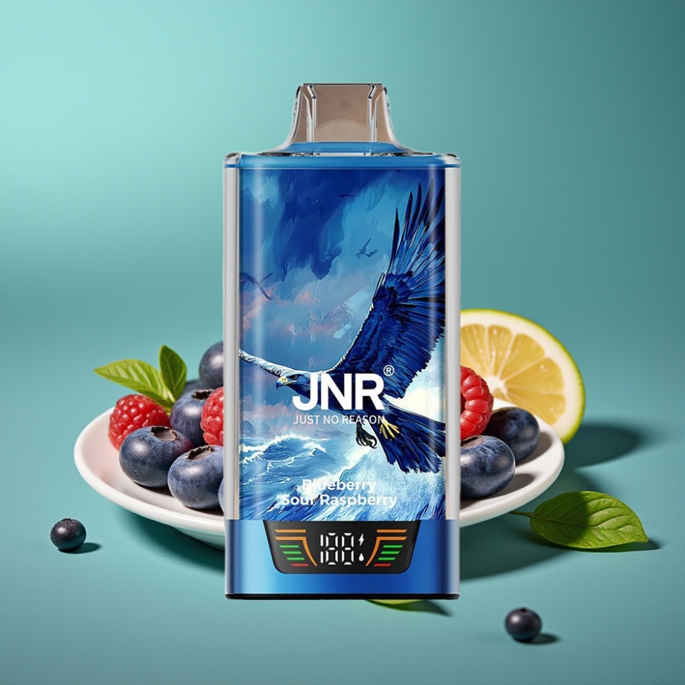 JNR Falcon Pro 28000 Vape Jetable Myrtille Framboise Acidulée – 30ml, 950mAh, 28000 Puffs, 5% Nicotine, Écran Intelligent, Double Mesh Coil, USB Type-C, MTL