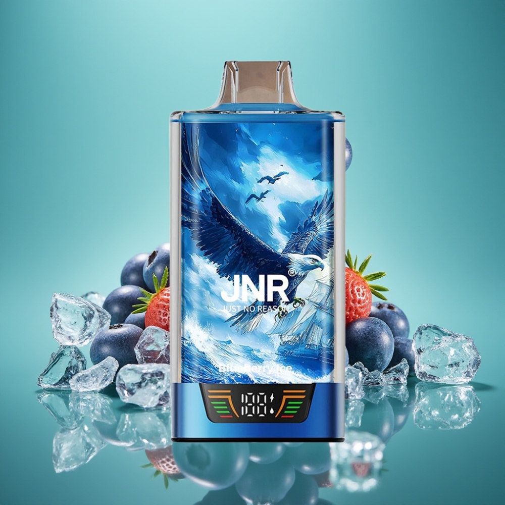 JNR Falcon Pro 28000 Vape Jetable Myrtille Glacé - 30ml, 28000 Puffs, 5% Nicotine, Dual Mesh Coil, USB Type-C