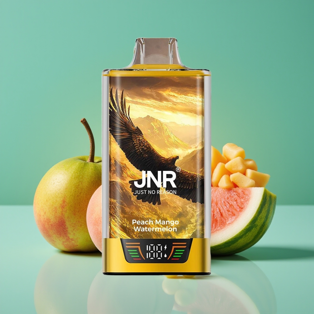 JNR Falcon Pro 28000 Vape Jetable Pêche Mangue Pastèque - 30ml, 950mAh, 5% Nicotine, Dual Mesh Coil, USB Type-C