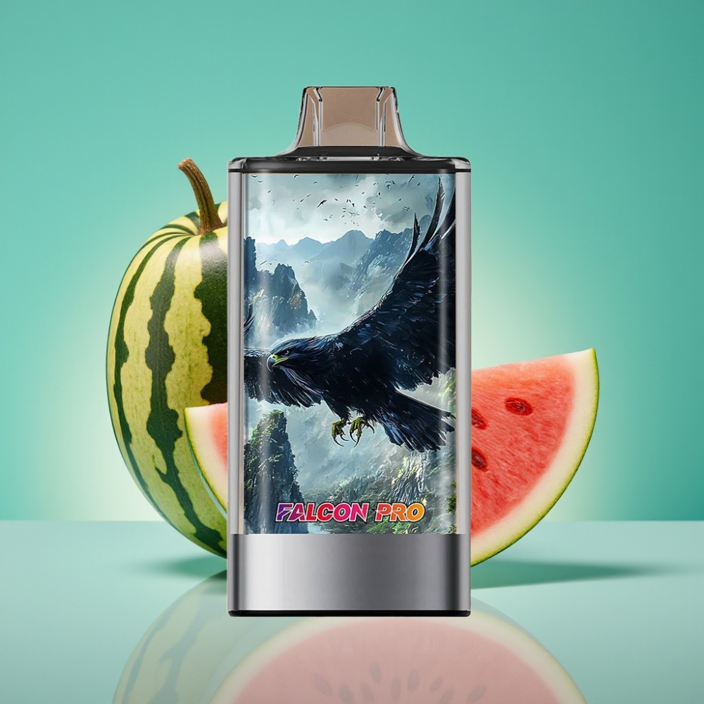 JNR Falcon Pro 28000 Vape Jetable Pastèque Bubblegum - 30ml / 28000 Puffs / 5% Nicotine / Dual Mesh Coil / USB-C