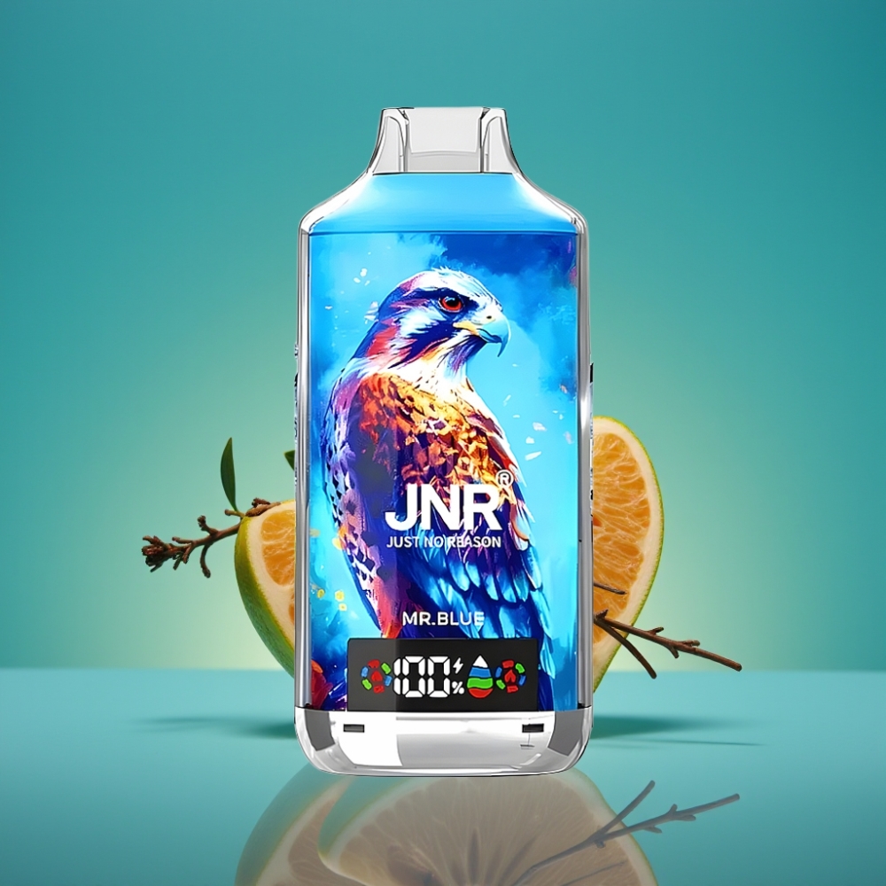 JNR Falcon X 18000 Puffs – 24ml/750mAh – Double Mesh Coil – Charge Type-C – Écran Digital – Nicotine 0%/2%/5% – Bleu Monsieur