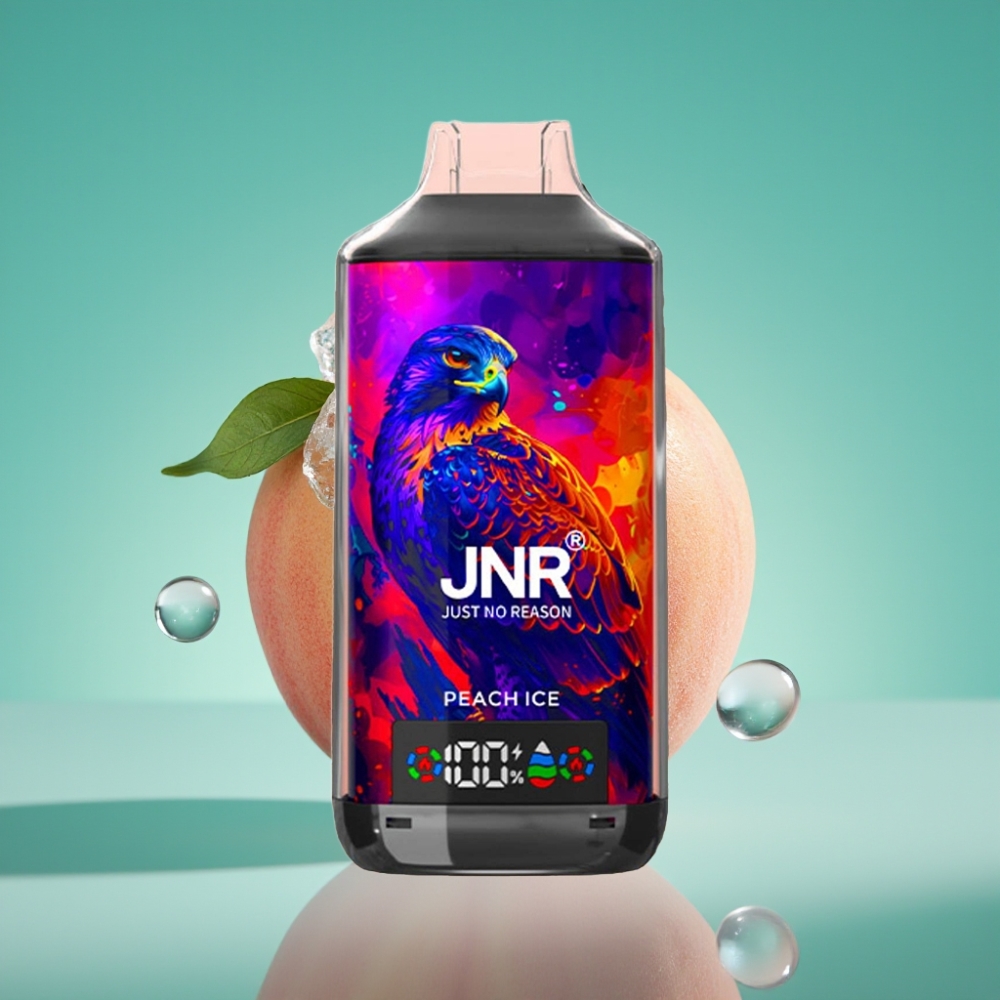 JNR Falcon X 18000 Puffs - 24ml/750mAh - Double Mesh Coil - Digital Display - Type-C - Glace Pêche (0%,2%,5%)