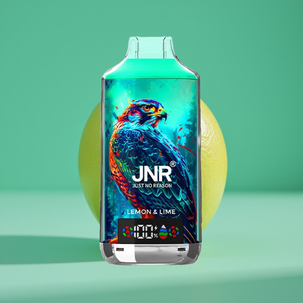 JNR Falcon X 18000 Puffs Citron Vert avec Affichage Digital, Double Mesh Coil et Charge Rapide Type-C (24ml, 750mAh, 0%/2%/5% Nicotine)