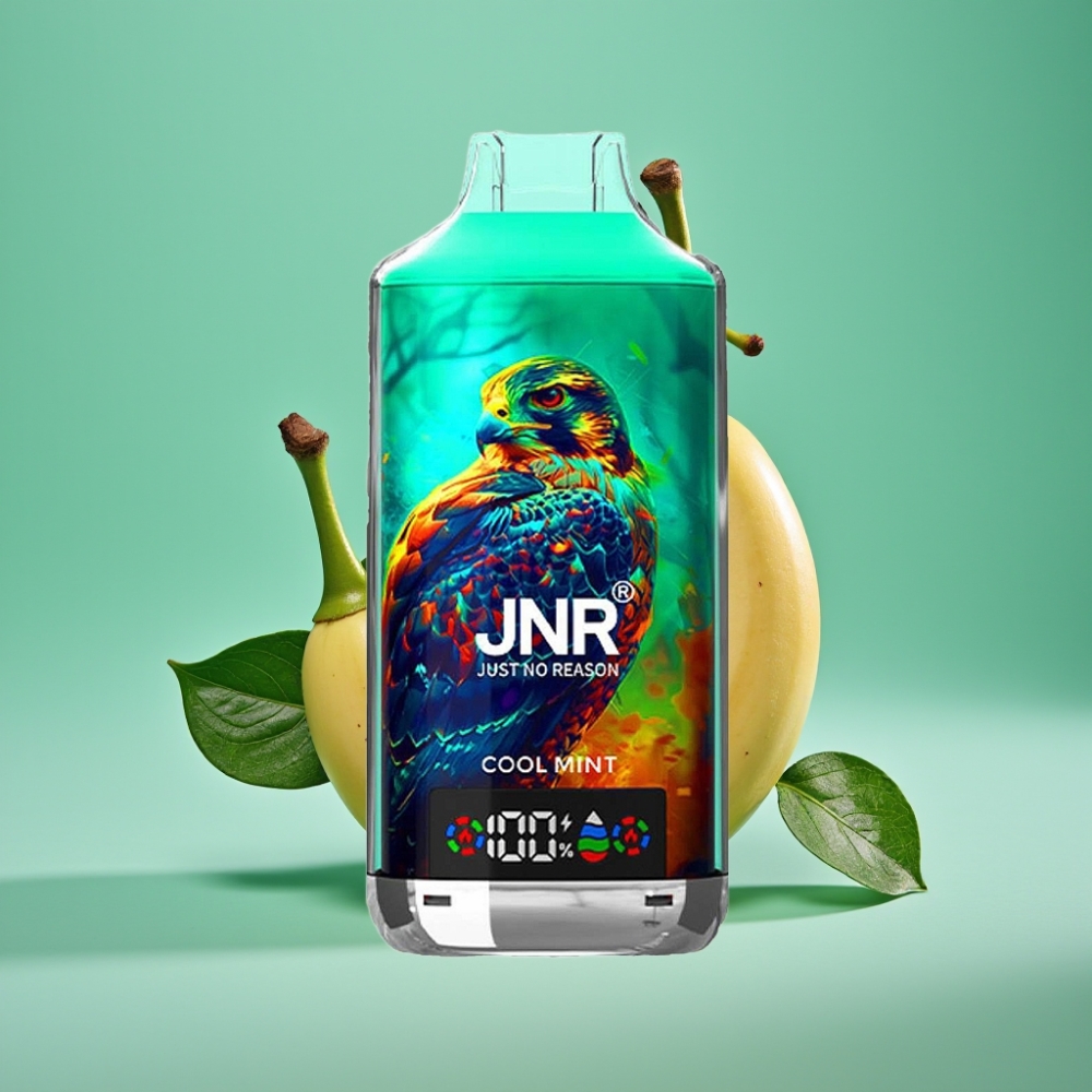 JNR Falcon X 18000 Puffs – Menthe Glacée – Double Mesh & Double Core – 24ml/750mAh – Charge Rapide Type-C – Affichage Digital – Nicotine 0%/2%/5%