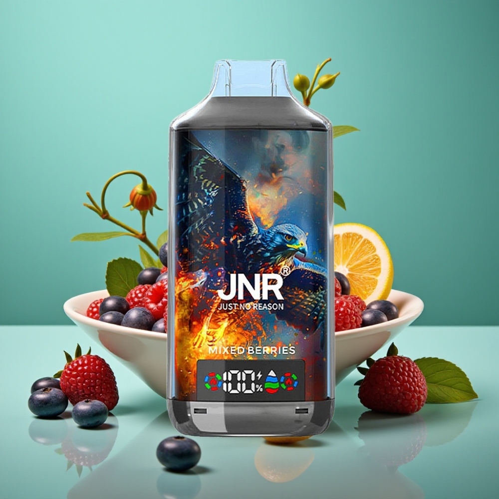 JNR Falcon X 18000 Puffs Vape Jetable Baies Mixtes – 24ml/750mAh, Dual Mesh Coil, Affichage Digital, Charge Type-C Rapide, 0%/2%/5% Nicotine