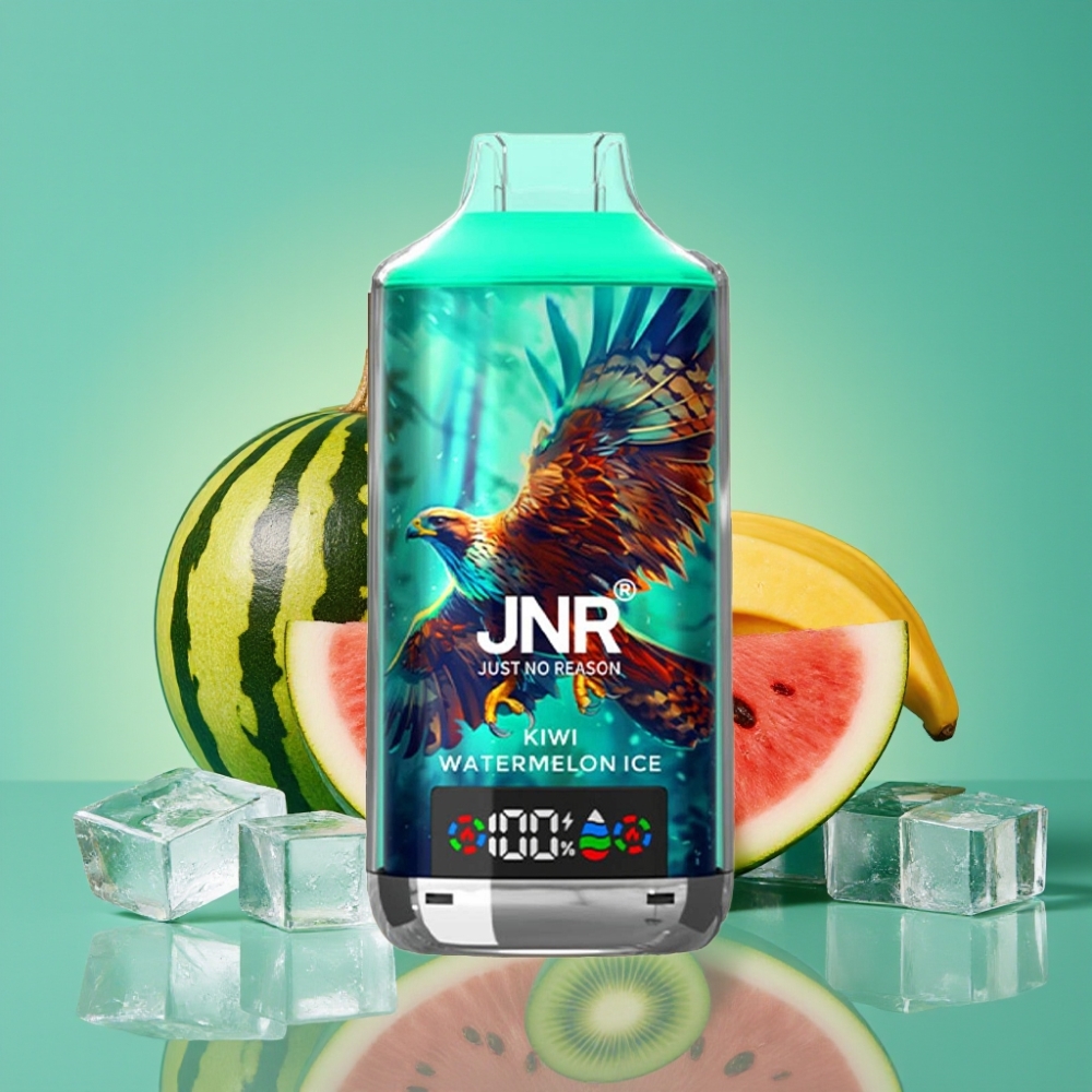 JNR Falcon X 18000 Puffs Vape Jetable Kiwi Pastèque Glacé - 24ml - Dual Mesh Coil - Affichage Digital - Charge Type-C Rapide - 0%/2%/5% Nicotine