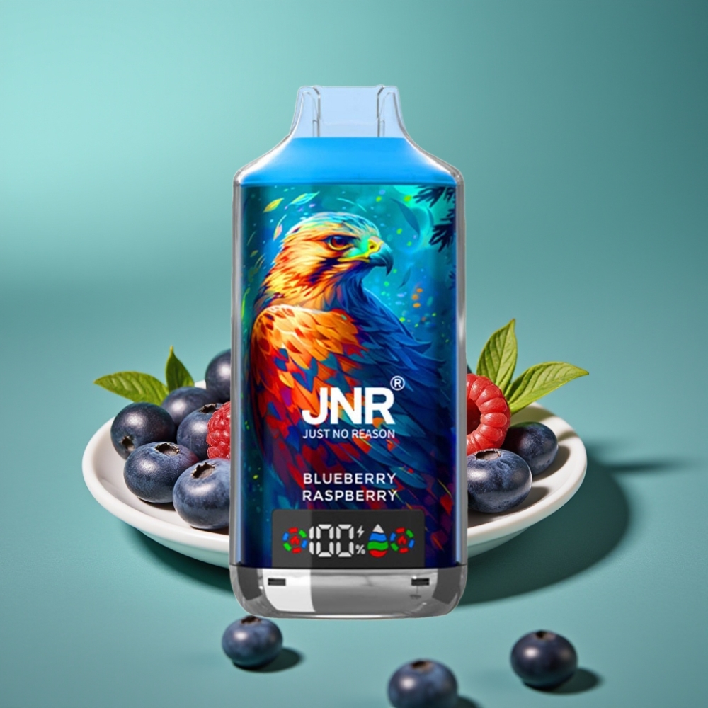 JNR Falcon X 18000 Puffs Vape Jetable Myrtille Framboise - 24ml/750mAh, Dual Mesh Coil, Affichage Digital, Charge Type-C, Nicotine 0%/2%/5%
