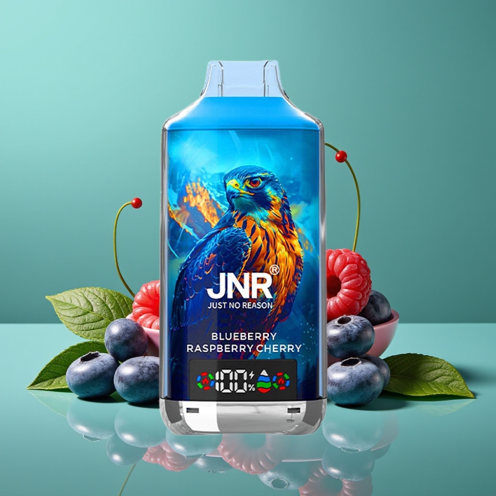 JNR Falcon X 18000 Puffs Vape Jetable Myrtille Framboise Cerise - 24ml • 750mAh • Dual Mesh Coil • Affichage Numérique • Charge Rapide Type-C • Nicotine 0%/2%/5%