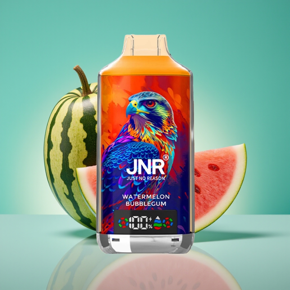 JNR Falcon X 18000 Puffs Vape Jetable Pastèque Bubblegum - 24ml/750mAh - Dual Mesh Coil & Dual Core - Affichage Digital - Charge Type-C Rapide - 0%/2%/5% Nicotine