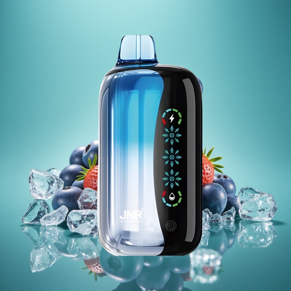 JNR Flex Ice 21000 Puffs Vape Jetable Myrtille Glacé avec Airflow Réglable, Écran Tactile et Batterie 1000mAh