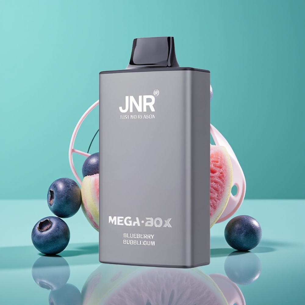 JNR Mega Box 25000 Puffs - Double Coil et Charge Rapide Type-C - E-Liquide 30ml - Bubblegum à la Myrtille