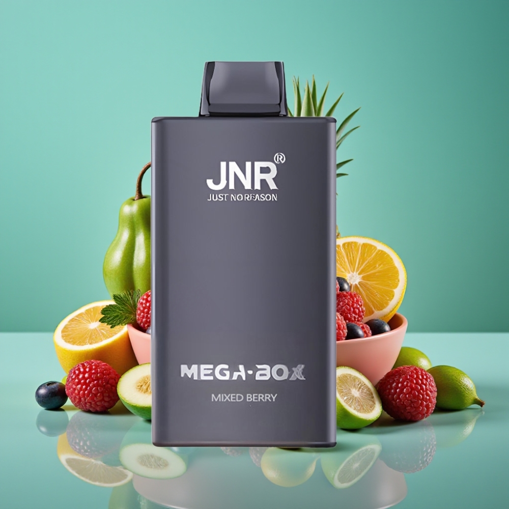 JNR Mega Box 25000 Puffs – E-Liquide 30ml, Batterie 850mAh, Double Mesh Coil, Charge Rapide Type-C, Baies Mixtes, Nicotine 2%