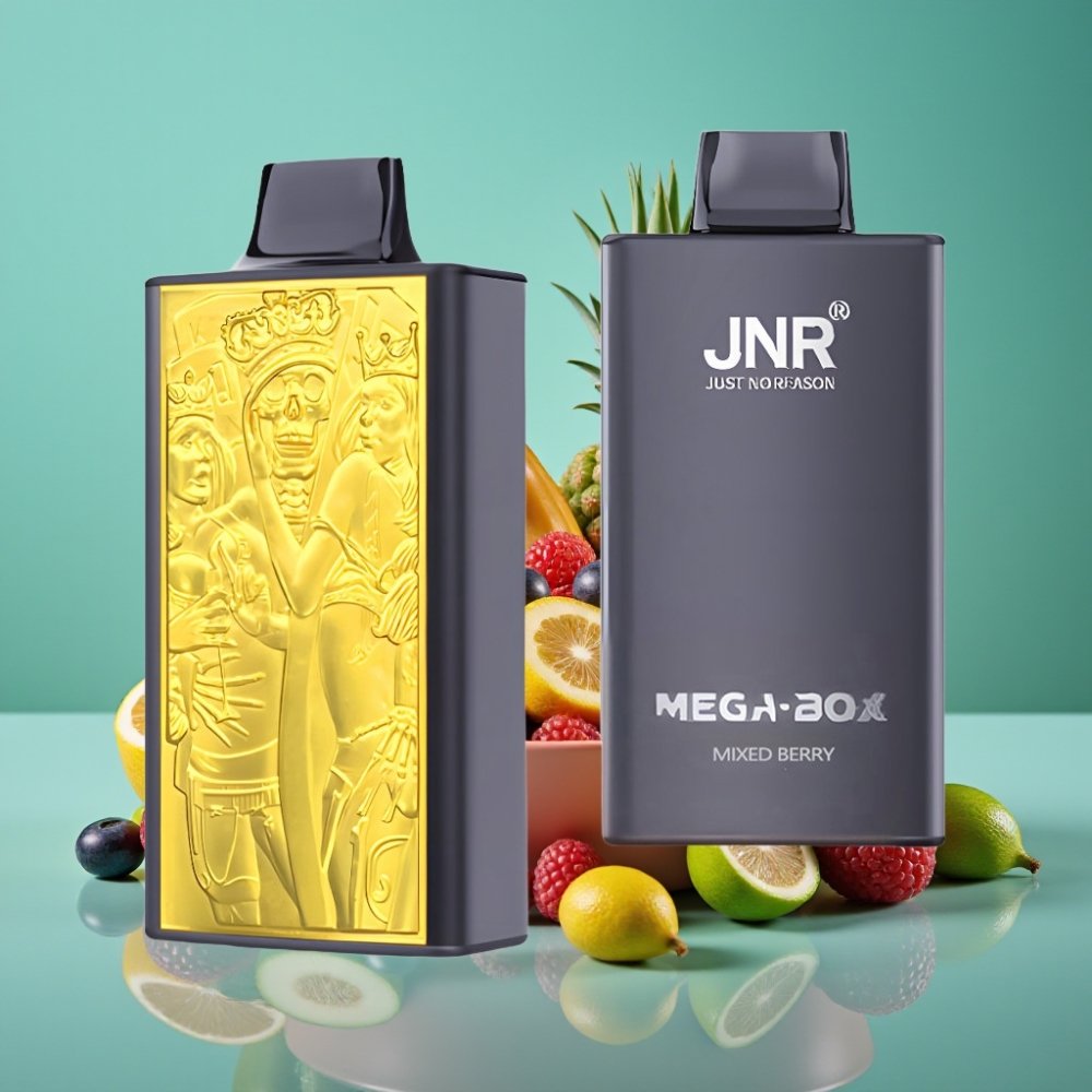 JNR Mega Box 25000 Puffs – E-Liquide 30ml, Batterie 850mAh, Double Mesh Coil, Charge Rapide Type-C, Baies Mixtes, Nicotine 2%