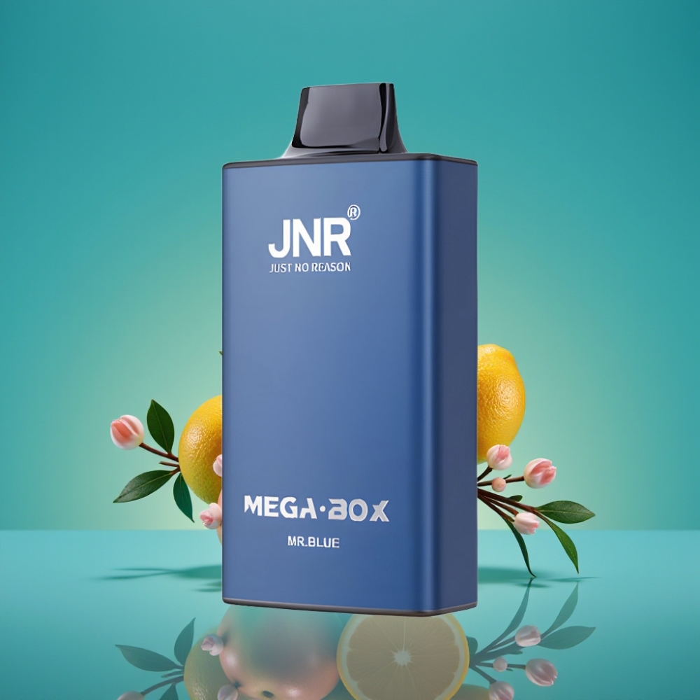 JNR Mega Box 25000 Puffs Vape Jetable Mr Bleu – 30ml E-liquide, 850mAh, Double Mesh Coil, Charge Rapide Type-C