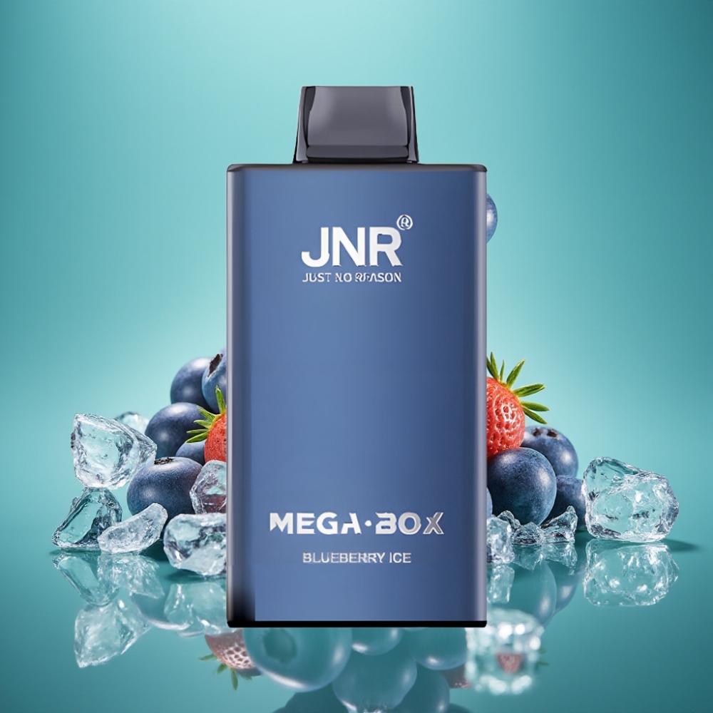 JNR Mega Box 25000 Puffs – Vape Jetable Myrtille Glace, 30ml, 850mAh, Dual Mesh Coil, Charge Type-C