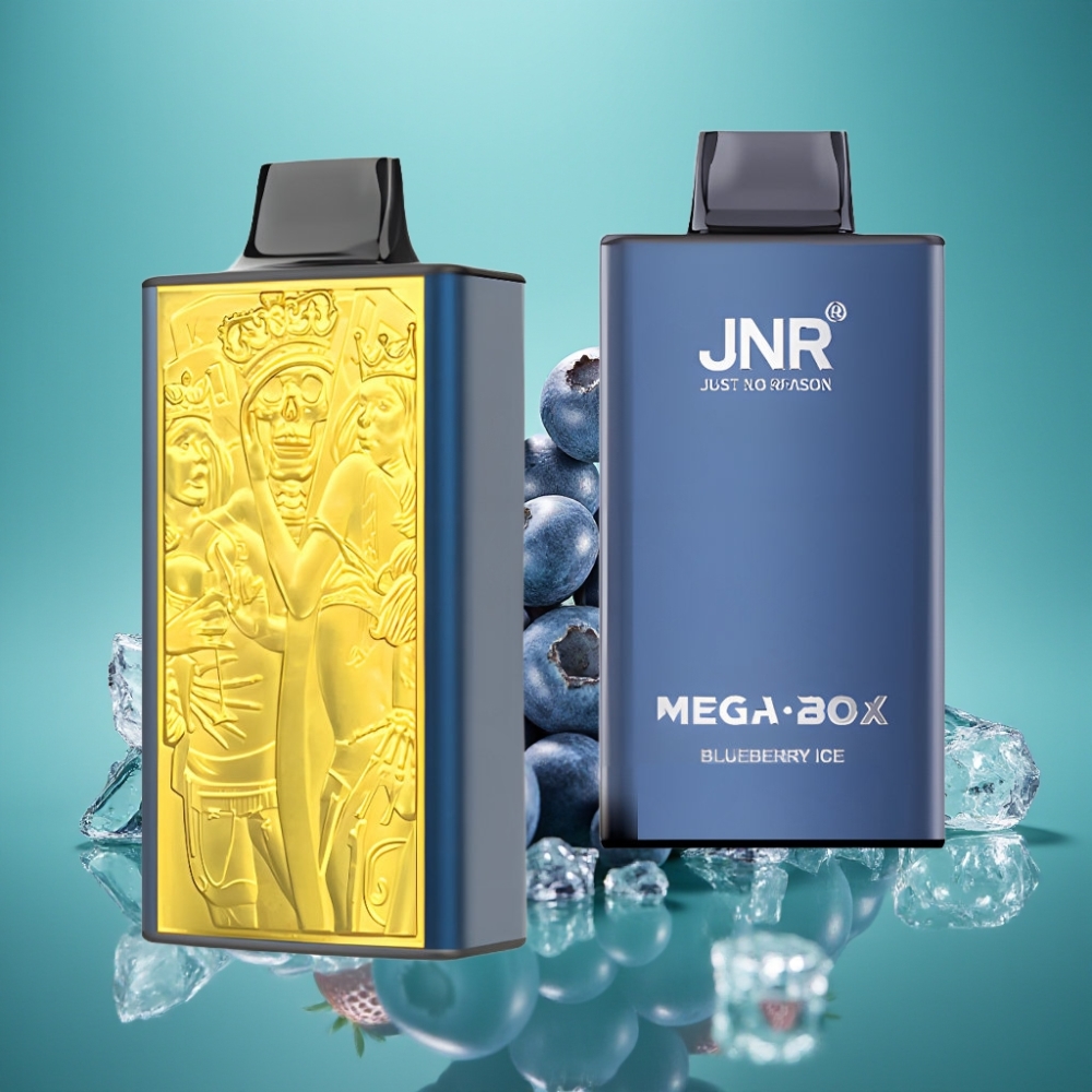 JNR Mega Box 25000 Puffs – Vape Jetable Myrtille Glace, 30ml, 850mAh, Dual Mesh Coil, Charge Type-C