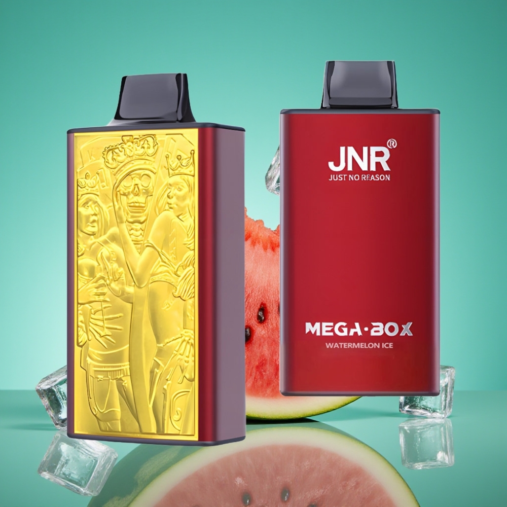 JNR Mega Box 25000 Puffs Vape Jetable Pastèque Glacée – 30ml E-liquide, 850mAh, Double Mesh Coil, Charge Type-C