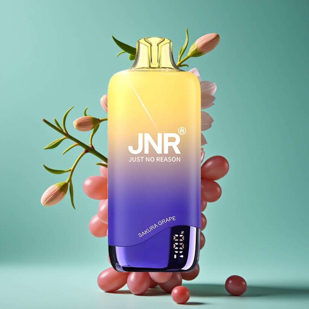 JNR Rainbow 10500 Puffs Vape Jetable Cerise Raisin avec 600mAh, Résistance Mesh 0.8ohm et 18ml de E-Liquide