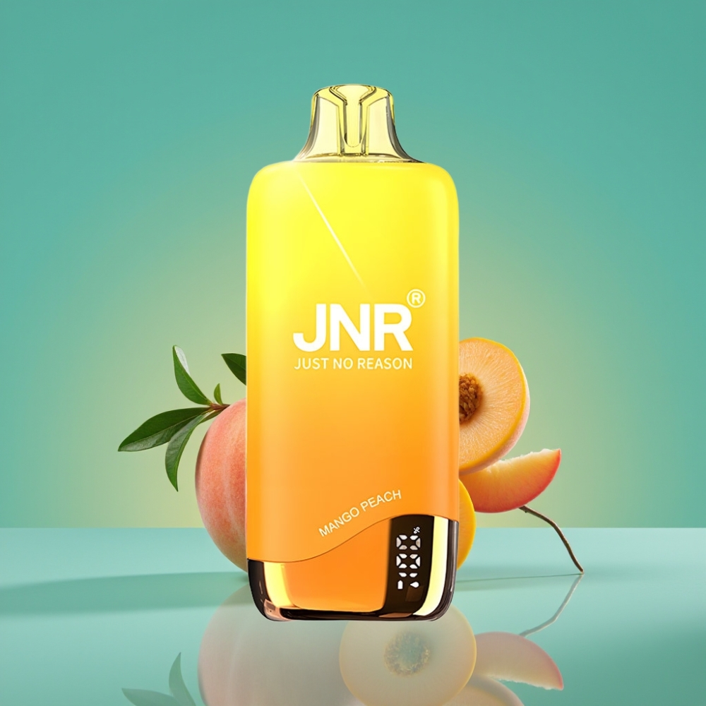 JNR Rainbow 10500 Puffs Vape Jetable Mangue Pêche – 18ml Réservoir, 0.8ohm Mesh Coil, 600mAh Batterie, USB Type-C