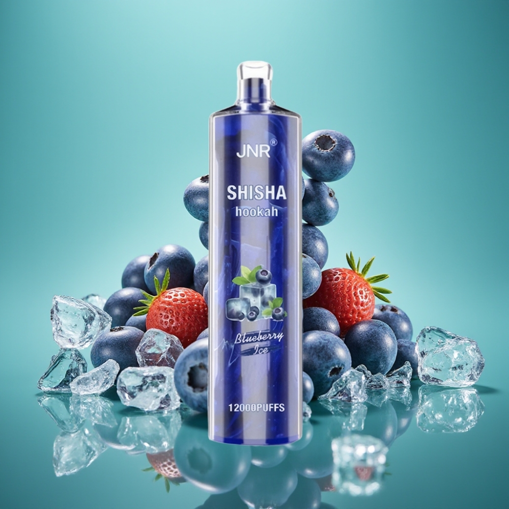 JNR Shisha Hookah 12000 Puffs - 24ml - 750mAh Type-C - 0.6 Ohm Mesh - Bleuet Glace (Blueberry Ice) - 10 PCS/Pack