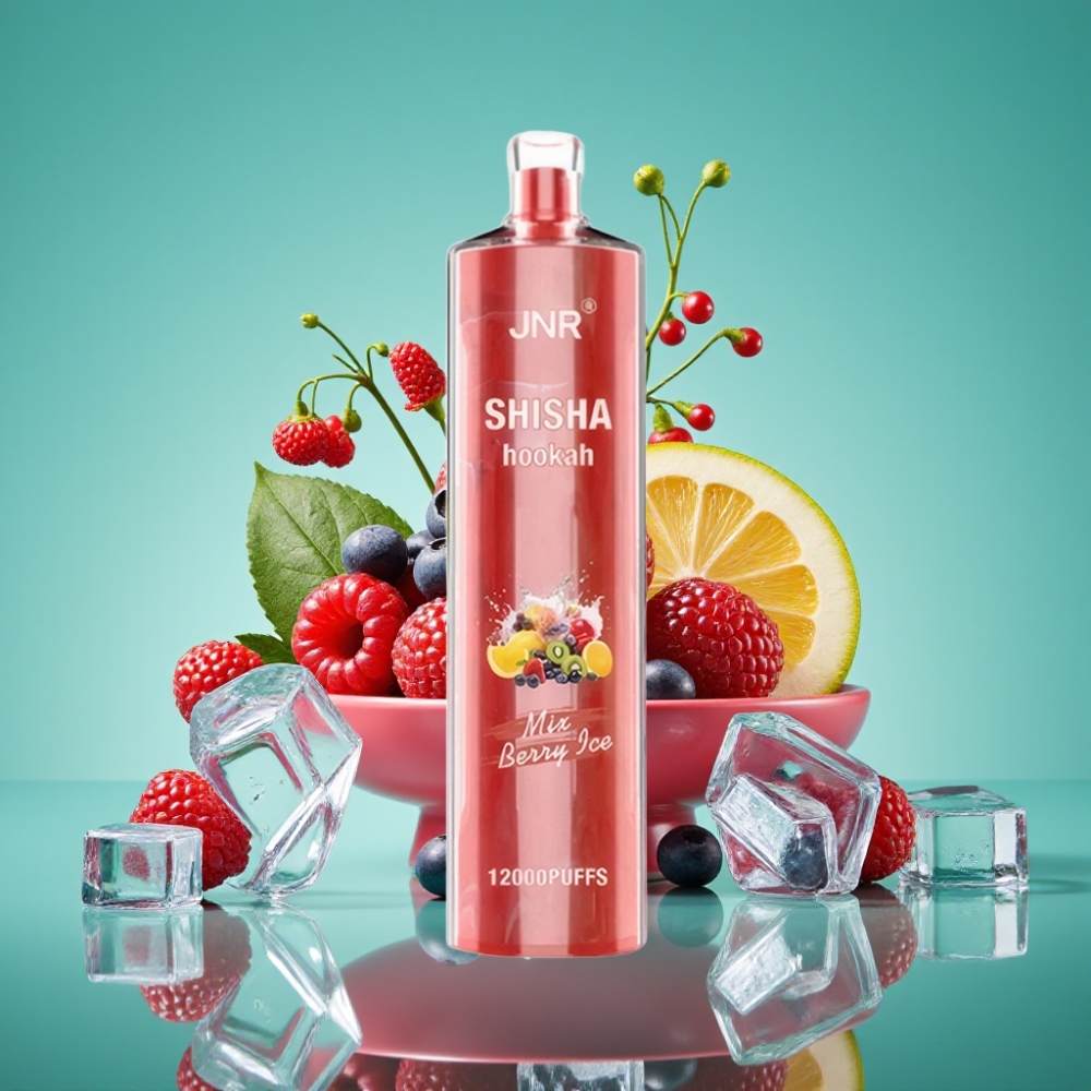 JNR Shisha Hookah 12000 Puffs Vape Jetable Berry Glace – 24ml E-Liquid, 750mAh Battery, 0.6Ω Mesh Coil, Type-C Charging