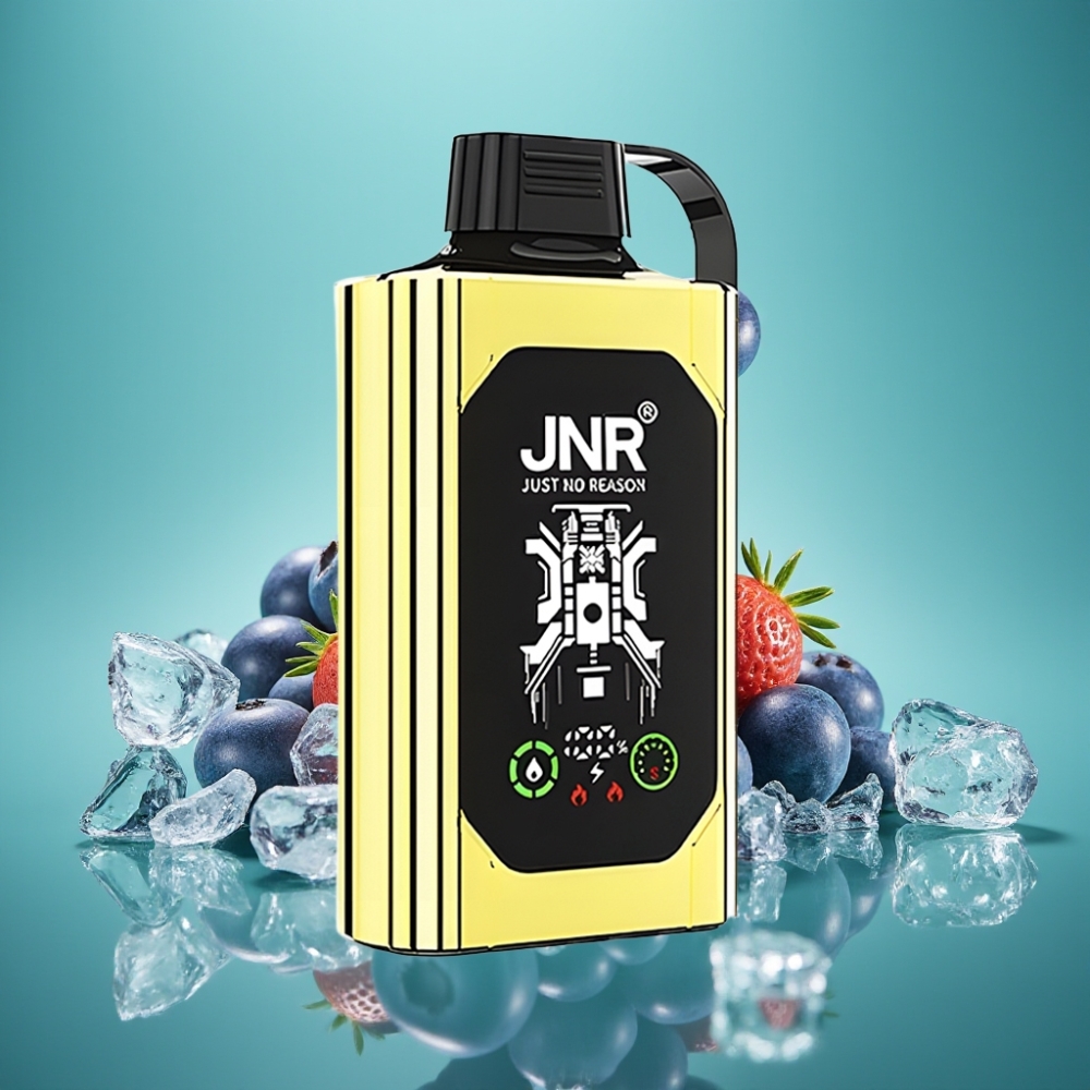 JNR Shisha Hookah Box 20500 Puffs - Affichage HD - 1000mAh - 25ml - Double Mesh Coil & Dual Core - Charge Rapide Type-C - Glace Myrtille (0%,2%,5%)