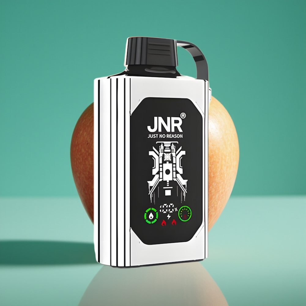 JNR Shisha Hookah Box 20500 Puffs - Double Pomme - Affichage HD - 25ml - Batterie 1000mAh - Double Mesh Coil - Charge Rapide Type-C - Nicotine 0%,2%,5%