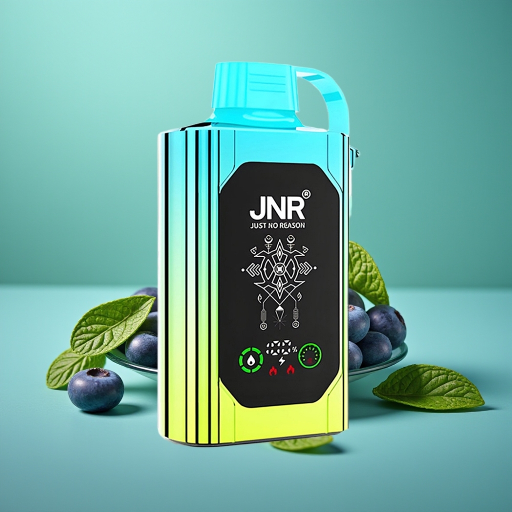 JNR Shisha Hookah Box 20500 Puffs - Myrtille Menthe - Écran HD - 1000mAh - 25ml - Double Mesh Coil - Charge Rapide Type-C - Teneur en Nicotine 0%,2%,5%
